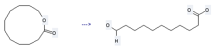 Oxacyclododecan-2-one can be used to produce 11-hydroxy-undecanoic acid